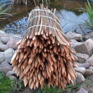 Hazel Spars / Scollops (Straight)