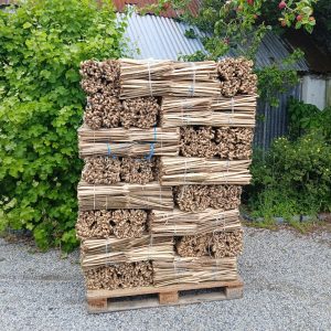 Hazel Spars / Scollops (Twisted)